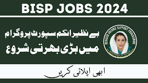 BISP Jobs 2024-Benazir Income Support Programme jobs Online Apply